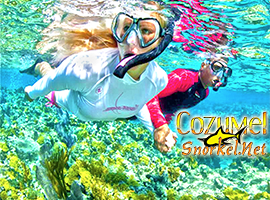 Cozumel Cielo Snorkel Tour with Tiger to Snorkel en Cozumel to the Best Cozumel Reefs and swim in El Cielo Cozumel Mexico