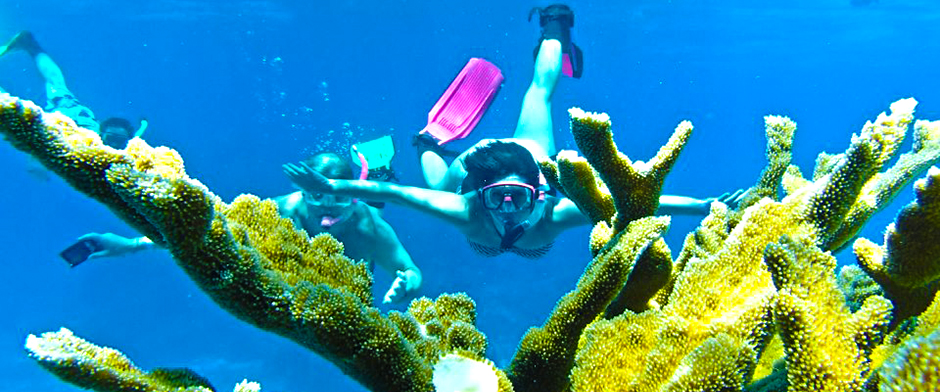 Cozumel Snorkeling tour with the best Snorkeling en Cozumel Mexico