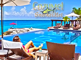 Cozumel Cielo Snorkel Tour with Tiger to Snorkel en Cozumel to the Best Cozumel Reefs and swim in El Cielo Cozumel Mexico