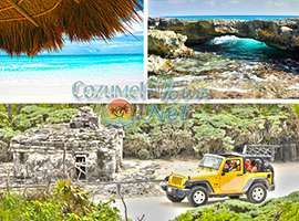 Cozumel Cielo Snorkel Tour with Tiger to Snorkel en Cozumel to the Best Cozumel Reefs and swim in El Cielo Cozumel Mexico